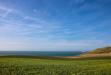 Fototapeta na wymiar vue sur la Manche depuis le Cap blanc Nez, ferry et champs cultivés