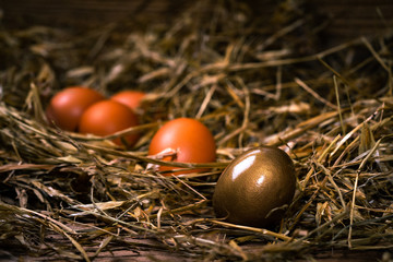 Fototapeta na wymiar des œufs dont un en or dans le foin