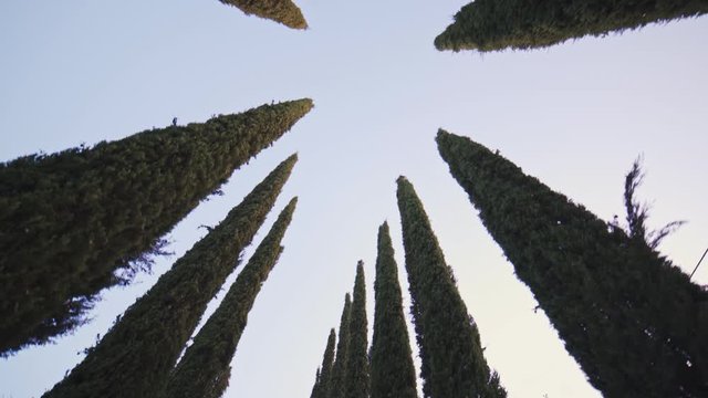 TUSCANY, ITALY - SUMMER 2019: slow motion stabilized short, passage between cypress trees