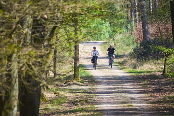 People riding bicycle in forest