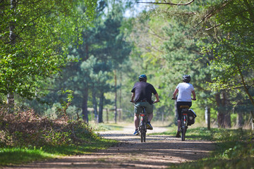 Rear view of people riding bicycle in forest
