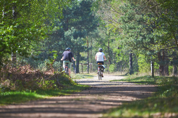 Rear view of people riding bicycle in forest