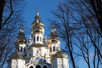 Fototapeta na wymiar Against the blue sky, a white church with golden domes.