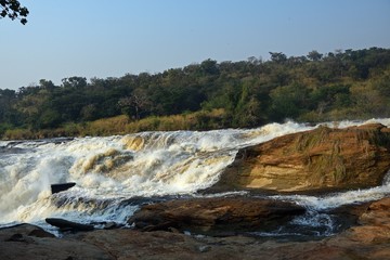 The Murchison Falls in Uganda