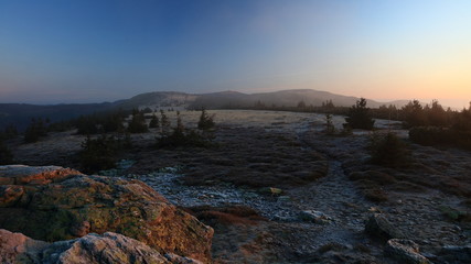 Meadows on mountain ridge during a foggy sunrise with Praded transmitter in the background, Jeseniky, Czech Republic
