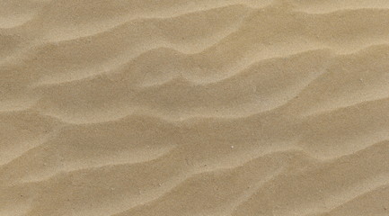 Fototapeta na wymiar Sandy Beach
