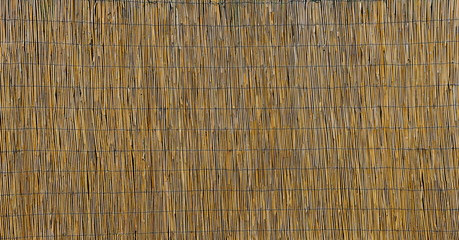 Reed Fence