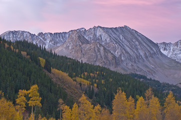 Fototapeta na wymiar Autumn landscape at dawn of the Elk Mountains with aspens and conifers, Castle Creek Road, Aspen, Colorado, USA