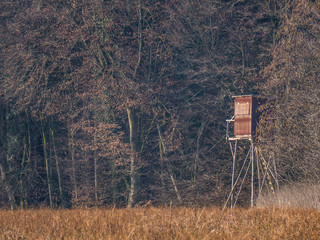 Hochsitz am Waldrand