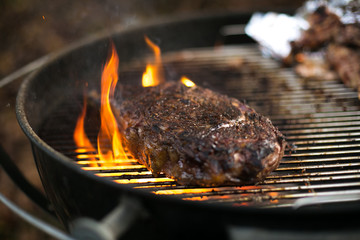 Grilled Steak