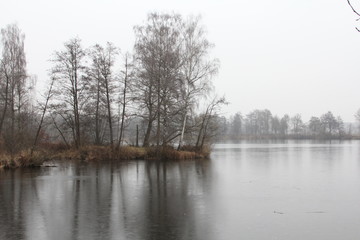 Fototapeta premium winter