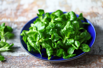 Fresh Corn Salad. Green leaves of lettuce mash.