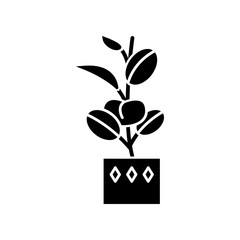 Ficus elastica black glyph icon. Rubber fig. Indian tree. Potted indoor plant with oval leaves. Decorative leafy houseplant. Home decor. Silhouette symbol on white space. Vector isolated illustration