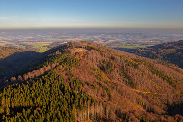 Landscape of the Beskydy mountains forests destroyed by European spruce bark beetle (Ips...