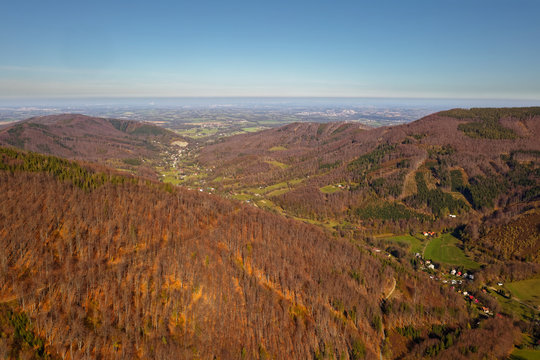 Landscape of the Beskydy mountains forests destroyed by European spruce bark beetle (Ips typographus), weevil subfamily Scolytinae, its outbreaks are important natural disturbances