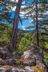 Mountain Trail in British Columbia, Canada. Mountains Background.