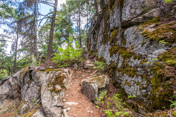 Mountain Trail in British Columbia, Canada. Mountains Background.