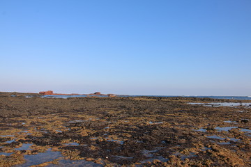 Obraz premium view of the beach