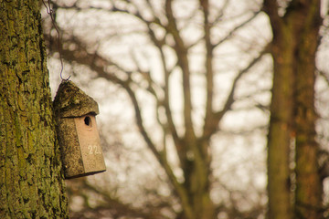 Vogelhaus im Herbstwald - Bäume im Hintergrund