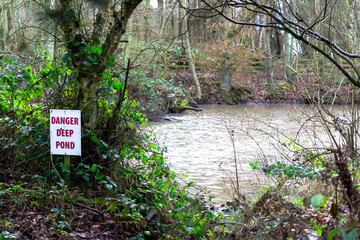 woodland pond in winter