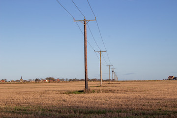 Fototapeta premium March of the power lines