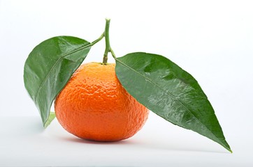 Fresh tangerines on white background. Studio shot.