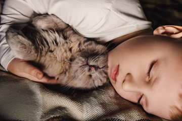 Obraz premium Boy and cat. Scottish fold cat in the arms of a boy. The concept of a pet in family education and a loving home. Horizontal.