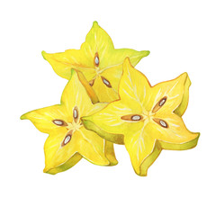 Ripe slices of Averrhoa carambola fruit (also called an carambola, star fruit and five-corner). Hand drawn botanical watercolor painting illustration isolated on white background.