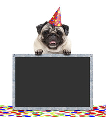 frolic smiling birthday party pug dog with hat and confetti and paws on blackboard sign, isolated on white background
