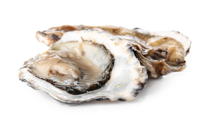 Tasty oyster on white background