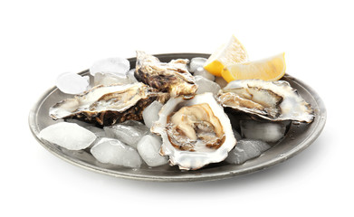 Plate with tasty cold oysters on white background