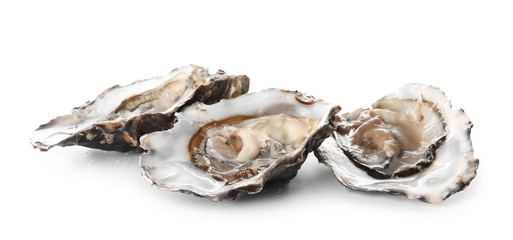 Tasty oysters on white background - obrazy, fototapety, plakaty