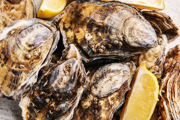 Tasty oysters with lemon, closeup
