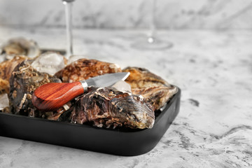 Tray with tasty cold oysters on white background