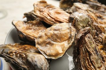 Plate with tasty oysters, closeup