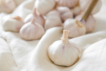 Fresh garlic on napkin, closeup