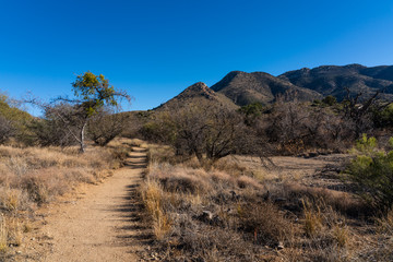 Fototapeta na wymiar hiking path through Fort Bowie National Historic Park with mountains, dirt path and dry vegetation