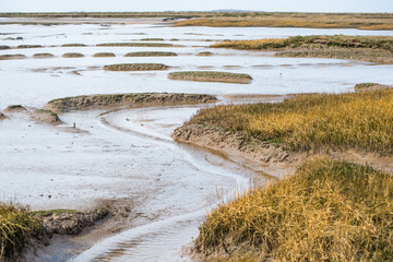 Views of mudflat at low tide