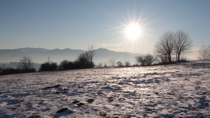 Snowy agricultural field with bare naked broadleaf tree lane in background, late afternoon sun and fog with Low Tatras mountains in background. Location northern Slovakia