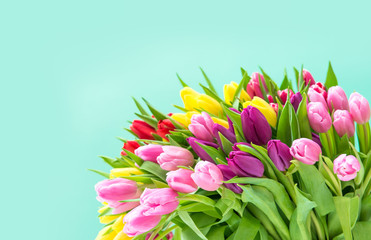Tulip Flowers Fresh spring bouquet turquoise background