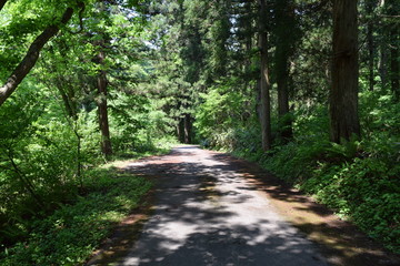 Obraz premium 山形県の山岳道路