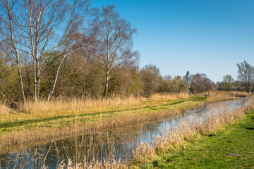 The banks of Burwell Lode