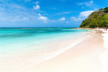 Fototapeta na wymiar Long bay Atlantic coast - Caribbean tropical sea - Antigua and Barbuda.