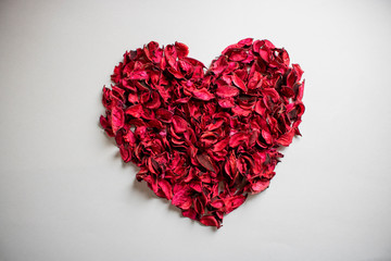 Obraz na płótnie Canvas heart of petals love valentines day