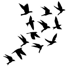 Silhouette of flying birds on white background. Inspirational body flash tattoo ink. Vector.