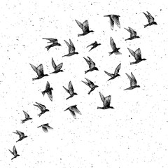 Set of black hand drawn strokes birds, flock. Drawing sketch. On textured Abstract grainy texture dust stain particles like stipple. Inspirational body flash tattoo ink.  Vector.