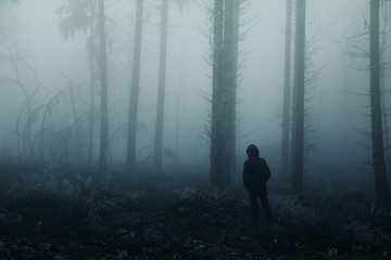 lonely man, a man stands between tree trunks on a blurry background of a foggy forest, mysterious mystical concept