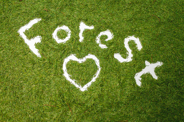 The word Forest. Pine needle lining. Ecology concept. Hands draw. Image on a green background.