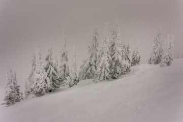Fototapeta premium Nice day for skiing in the mountains