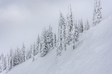Nice day for skiing in the mountains
